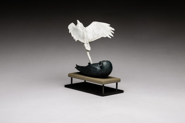 Raven Spirit Rising