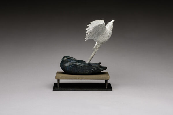 Raven Spirit Rising