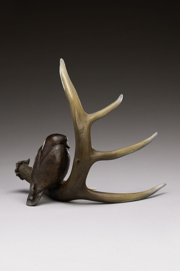 "Deer Spirit and Little Owl"