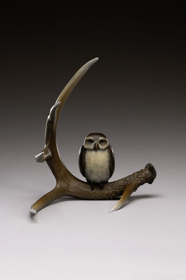 "Deer Spirit and Little Owl"