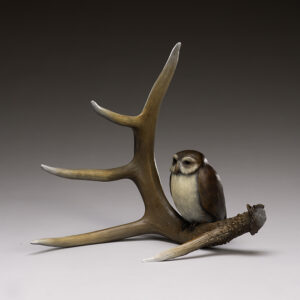 "Deer Spirit and Little Owl"
