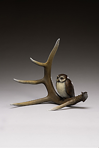 "Deer Spirit and Little Owl"