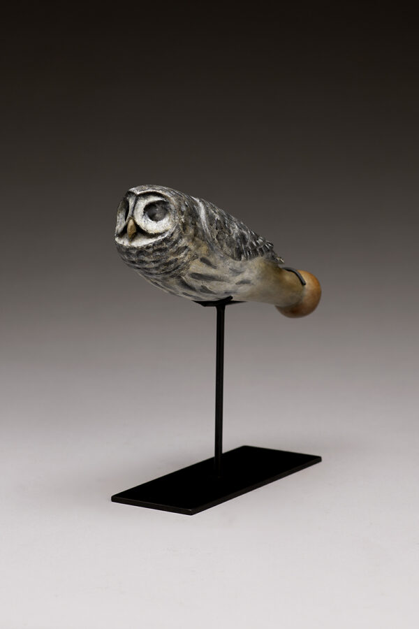 "Owl Talking Stick"